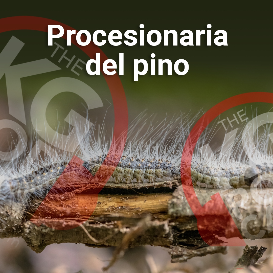Los Podcast de Killgerm