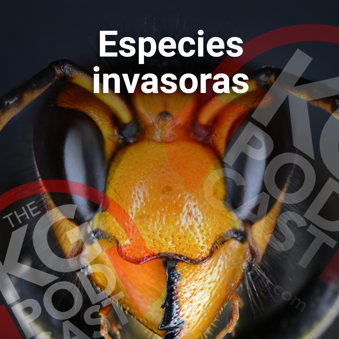 Los Podcast de Killgerm